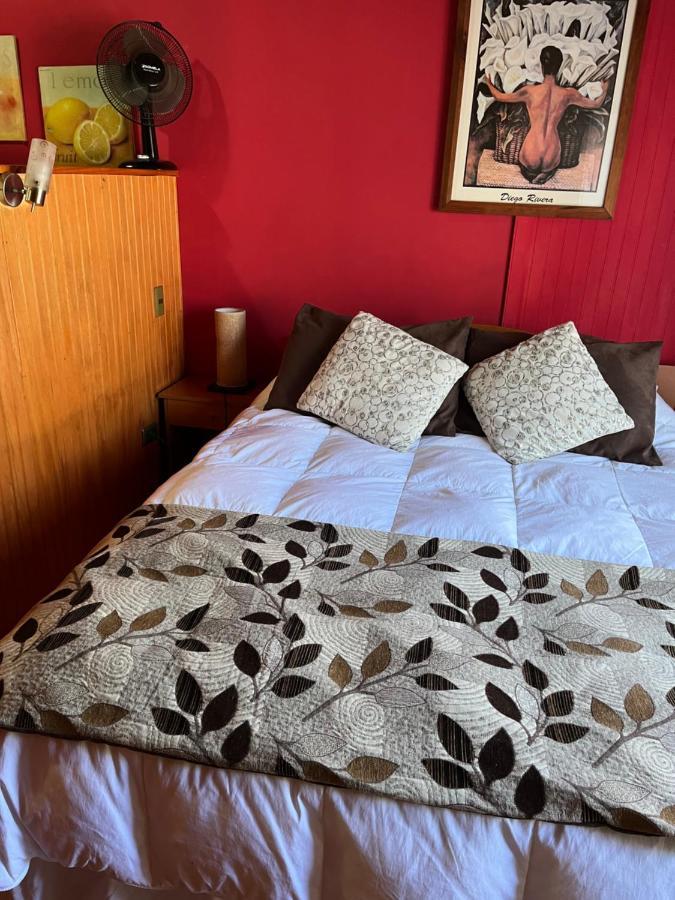 Cabana Ruca Quimey Villarrica Eksteriør billede